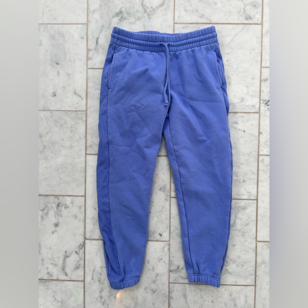 TNA (Aritzia) Cozy Fleece Boyfriend Sweatpants | Size Small